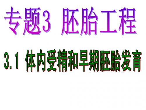 人教版教学课件河北省石家庄一中2012-2013学年高二生物《31体内受精和早期胚胎发育》课件(新人教版选修3)