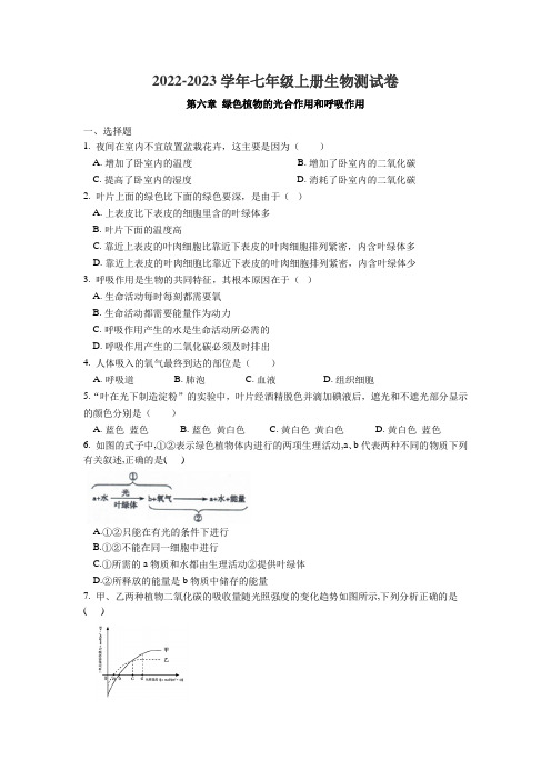 第六章 绿色植物的光合作用和呼吸作用测试卷 2022-2023学年苏教版生物七年级上册