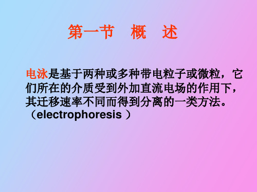 毛细管电泳分离技术