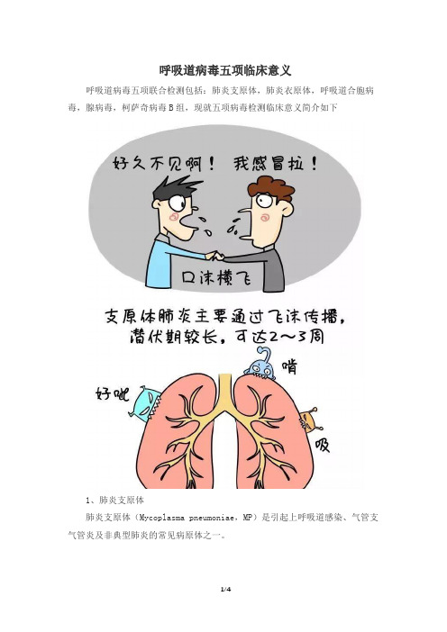 呼吸道病毒五项临床意义