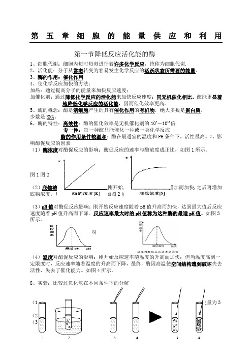 生物必修一第五章知识点总结全