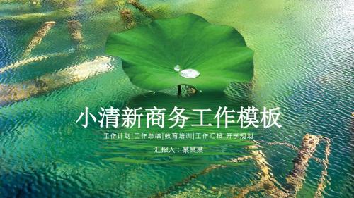 小清新荷叶简约商务年终工作总结计划通用动态PPT