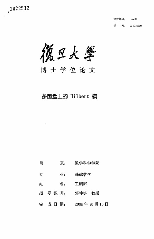 多圆盘上的Hilbert模