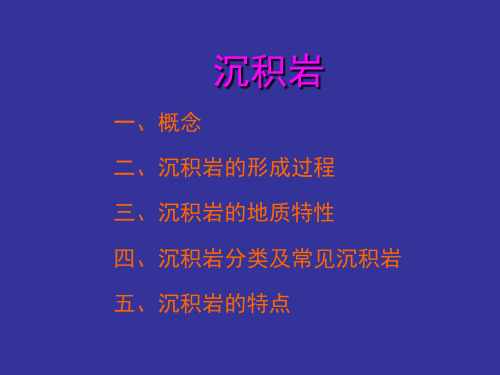 沉积岩PPT课件