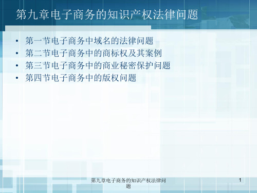 电子商务法第九章电子商务的知识产权法律问题