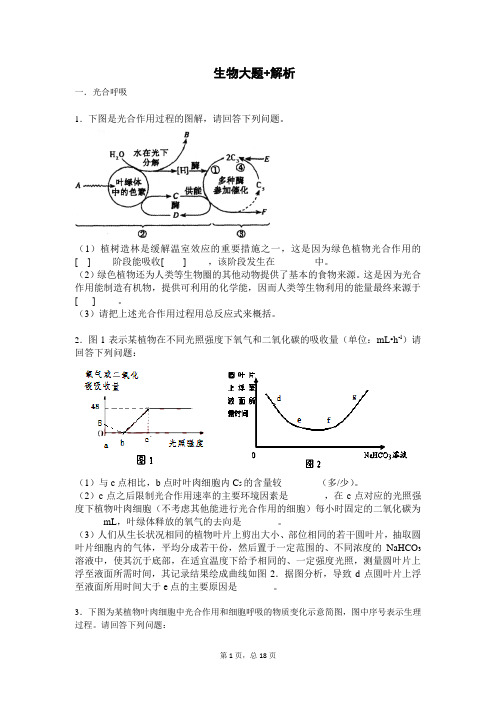 初中生物大题专项练习(解析版)