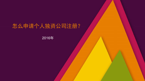申请个人独资公司注册办理流程指南
