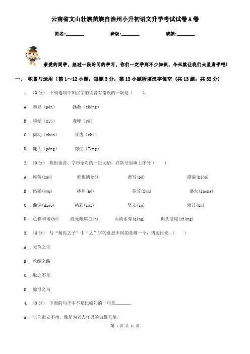 云南省文山壮族苗族自治州小升初语文升学考试试卷A卷