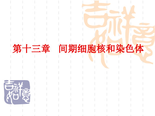 山东大学细胞13第十三章