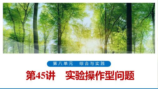 浙江省2020届中考一轮复习浙教版数学课件：第45讲 实验操作型问题(共46张PPT)