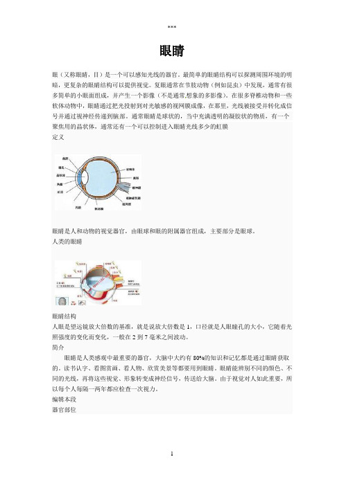 课外阅读——眼睛