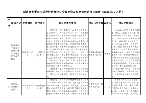 新蔡县电子商务进农村综合示范项目建设及资金拨付进度公示表【模板】