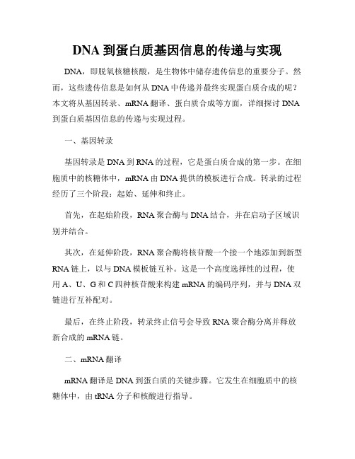 DNA到蛋白质基因信息的传递与实现