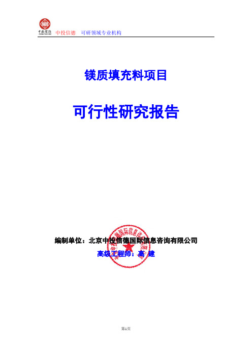 镁质填充料项目可行性研究报告编制格式说明(模板型word)