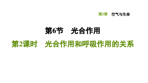 3.6.2光合作用和呼吸作用的关系—浙教版八年级科学下册习题课件