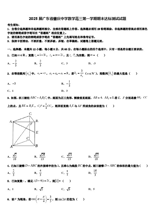 2025届广东省肇庆中学数学高三第一学期期末达标测试试题含解析