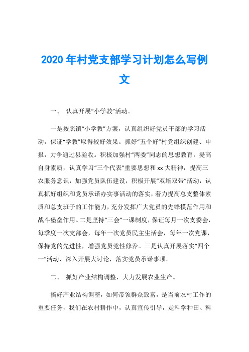 2020年村党支部学习计划怎么写例文