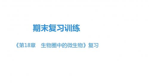 北师大版八年级上册生物期末复习训练课件《第18章 生物圈中的微生物》复习