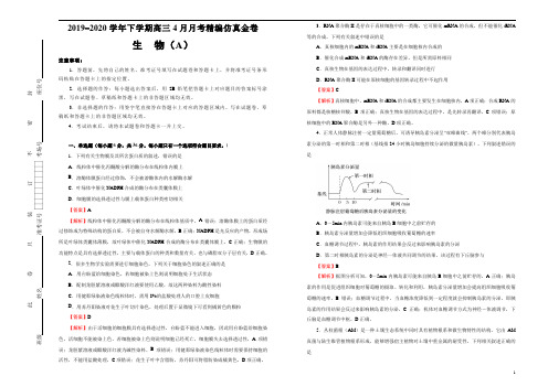 2019-2020学年下学期高三4月月考精编仿真金卷 生物(A卷) 解析版