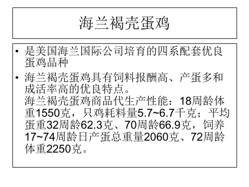 蛋鸡的饲养管理