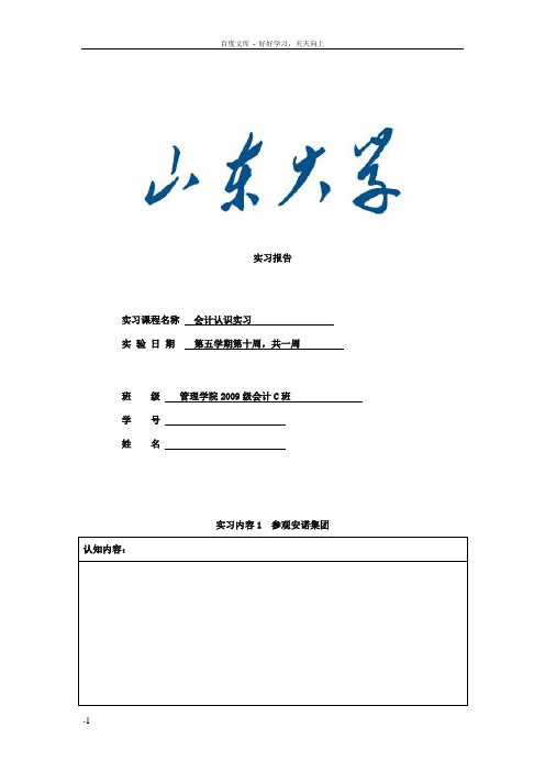 山东大学会计实习报告