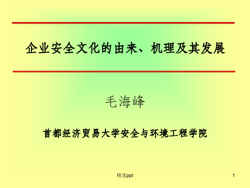 企业安全文化的由来、机理及其发展(毛海峰)