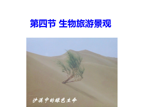 2.4生物旅游景观