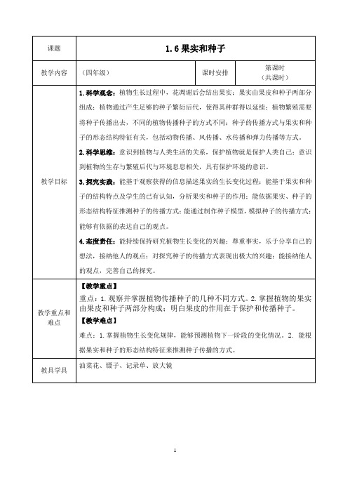 四年级1.6果实和种子