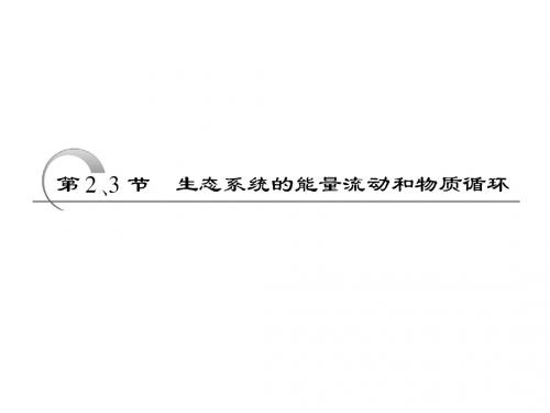 高中生物课件必修三第五章第3节生态系统的能量流动和物质循