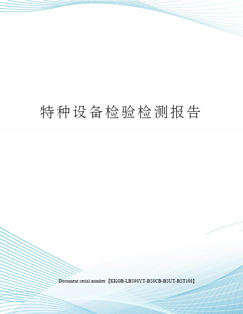 特种设备检验检测报告