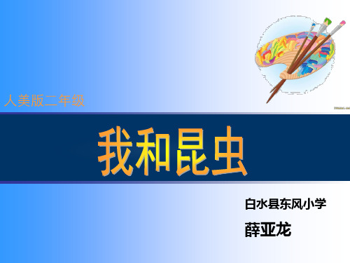 《我和昆虫》