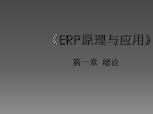 ERP原理与应用ppt课件