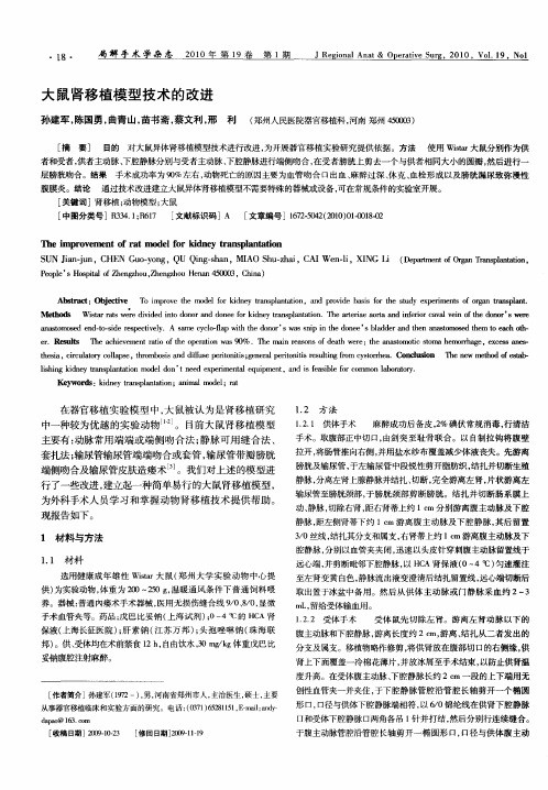 大鼠肾移植模型技术的改进