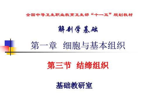 解剖学基础 第一章 细胞与基本组织 第三节结缔组织