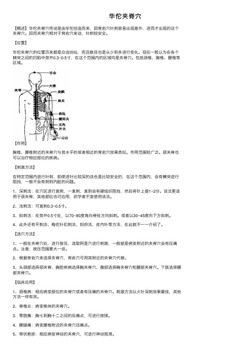 华佗夹脊穴——精选推荐