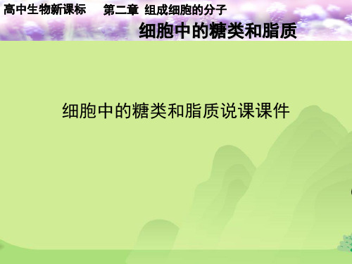 细胞中的糖类和脂质说课课件