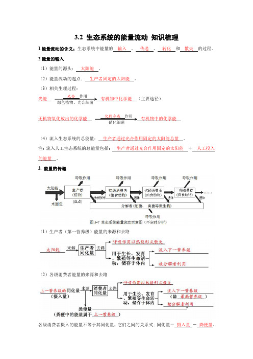 高中生物同步备课系列【知识梳理】3.2 生态系统的能量流动-人教2019版选择性必修2