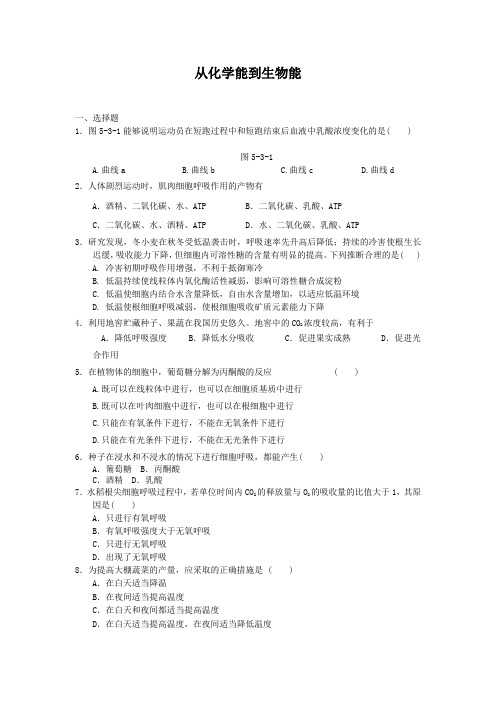 3.2.4从化学能到生物能每课一练31(中图版必修1)