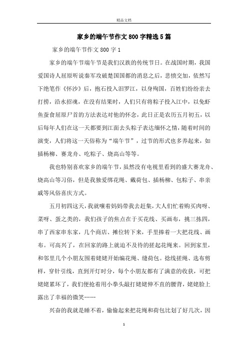家乡的端午节作文800字精选5篇