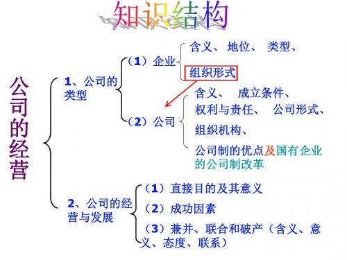 人教版高中思想政治《经济生活》课件：公司的经营