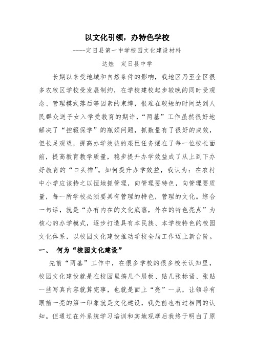以文化为引领