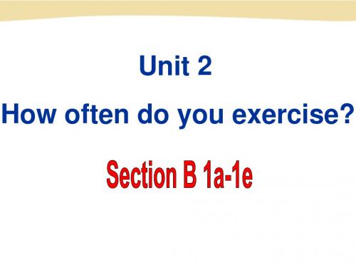 2013新人教版 unit2 Section B 1a-1e