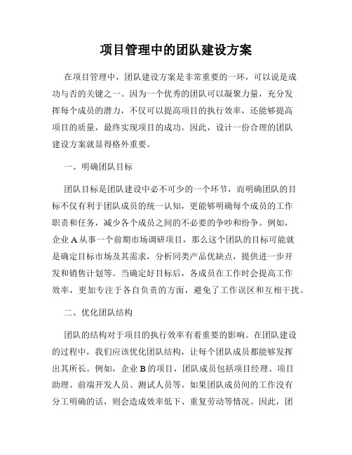 项目管理中的团队建设方案