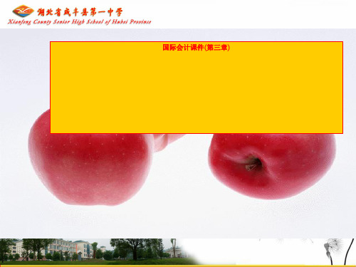 国际会计课件(第三章)