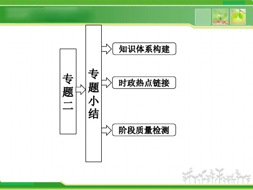 人教版高中政治必修二专题2专题总结ppt课件