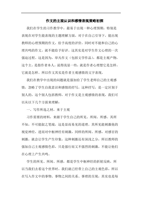 作文的主观认识和感情表现策略初探