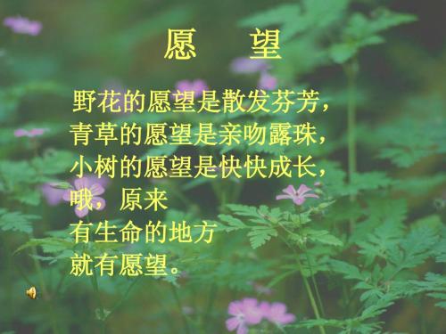 丁丁和牵牛花