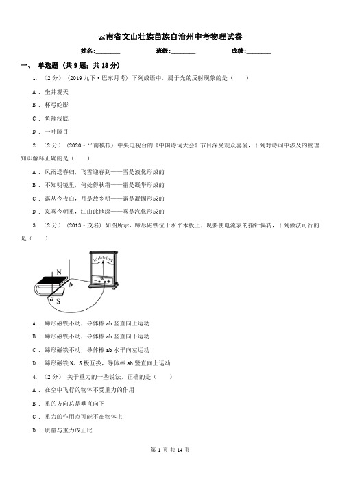 云南省文山壮族苗族自治州中考物理试卷