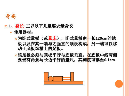 体格测量11