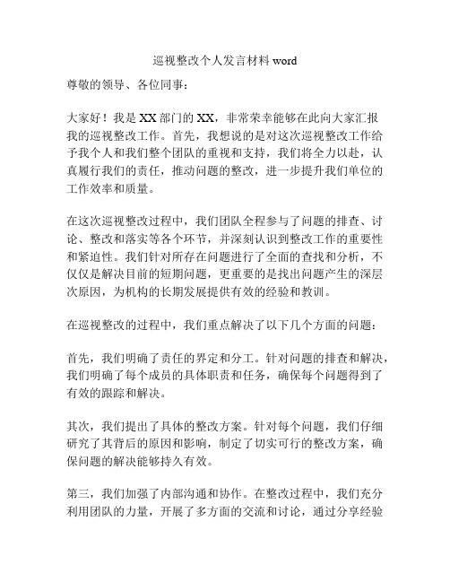 巡视整改个人发言材料word